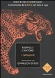 Cover of I Gattopardi