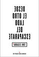 Cover of DESDE EL OTRO LADO DEL ESCAPARATE
