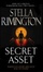Cover of "Secret Asset"