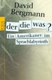 Cover of Der, die, was? Ein Amerikaner im Sprachlabyrinth