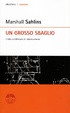 Cover of Un grosso sbaglio