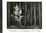 Cover of "Ansel Adams at 100"