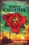 Cover of North from Calcutta