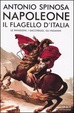 Cover of Napoleone il flagello d'Italia