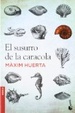 Cover of El susurro de la caracola
