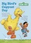Cover of "Big Bird's Copycat Day"