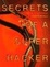 Cover of "Secrets of a Super Hacker"