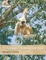 Cover of The Ecology of Tropical East Asia