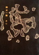 Cover of 散文一集