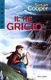 Cover of Il re Grigio