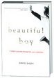 Cover of Beautiful Boy