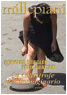 Cover of La catastrofe dell'immaginario