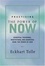 Cover of "Practicing the Power of Now"