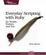 Cover of "Everyday Scripting with Ruby"