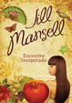 Cover of Encontro Inesperado
