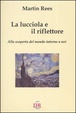 Cover of La lucciola e il riflettore