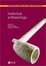 Cover of "Historical Archaeology"
