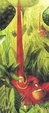 Cover of In bocca al lupo