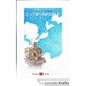Cover of Il contanuvole