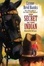 Cover of "The Secret of the Indian"