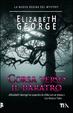 Cover of Corsa verso il baratro