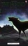 Cover of "The Hound of the Baskervilles"
