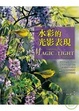 Cover of 水彩的光影表現