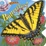 Cover of "Butterflies!"