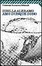 Cover of "Amo dunque sono"