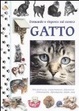 Cover of Domande e risposte sul nostro gatto
