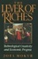 Cover of "The Lever of Riches"