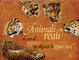 Cover of Animali reali