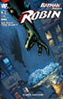 Image of Robin n. 03