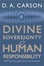 Cover of "Divine Sovereignty and Human Responsibility"