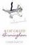 Cover of 'A Cat Called Birmingham'