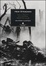 Cover of La prima guerra mondiale. Una storia illustrata
