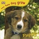Cover of Puppy