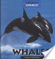 Cover of Whales