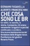 Cover of Che cosa sono le BR