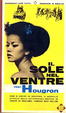 Cover of Il sole nel ventre