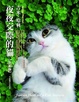 Cover of 夜夜交際的貓