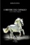 Cover of I misteri del cavallo