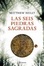Cover of Las seis piedras sagradas