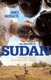 Cover of Six Months in Sudan