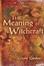 Cover of "The Meaning of Witchcraft"