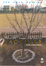 Cover of Frontier