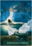 Cover of I cieli dimenticati