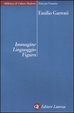 Cover of Immagine, linguaggio, figura