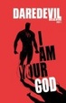 Cover of Daredevil Vol. 12
