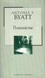 Cover of Possessione: una storia romantica